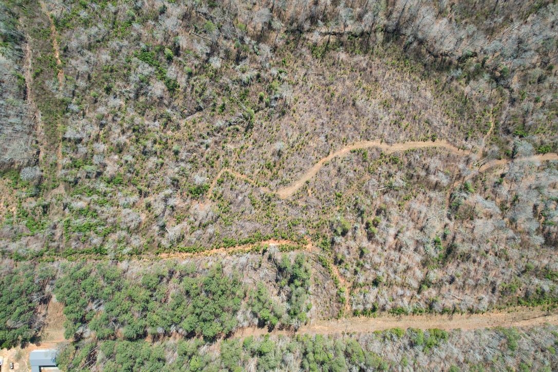0 Mountain Shoals Road Enoree, SC 29335 - Photo 13 of 43