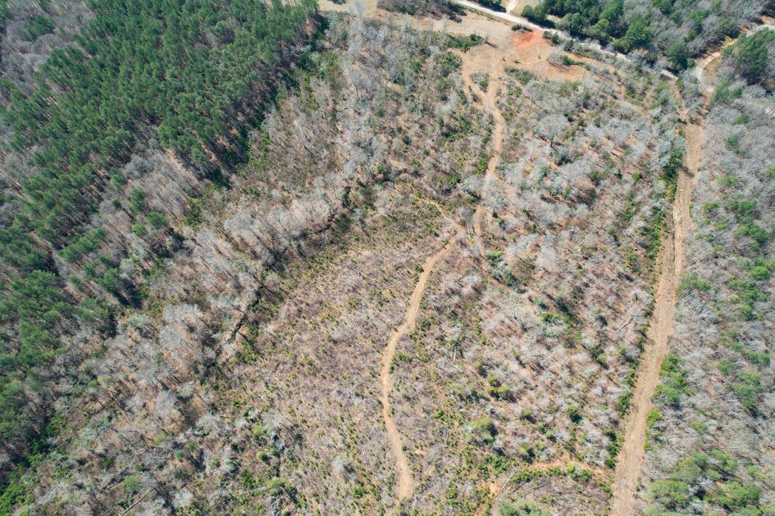0 Mountain Shoals Road Enoree, SC 29335 - Photo 14 of 43