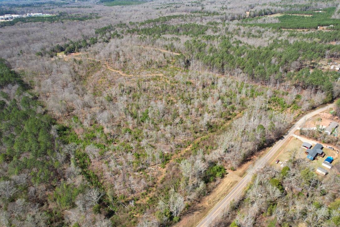 0 Mountain Shoals Road Enoree, SC 29335 - Photo 17 of 43
