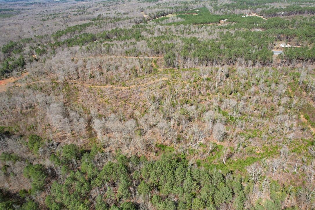 0 Mountain Shoals Road Enoree, SC 29335 - Photo 19 of 43