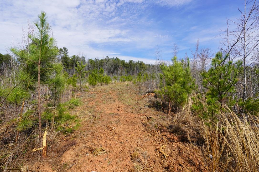 0 Mountain Shoals Road Enoree, SC 29335 - Photo 20 of 43