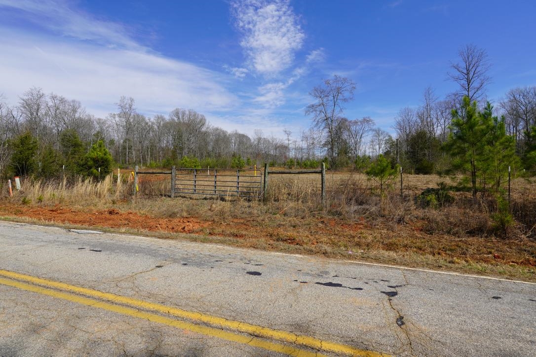 0 Mountain Shoals Road Enoree, SC 29335 - Photo 2 of 43