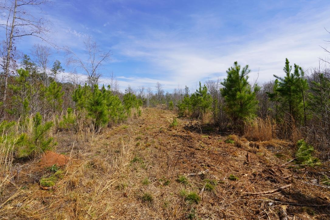 0 Mountain Shoals Road Enoree, SC 29335 - Photo 21 of 43
