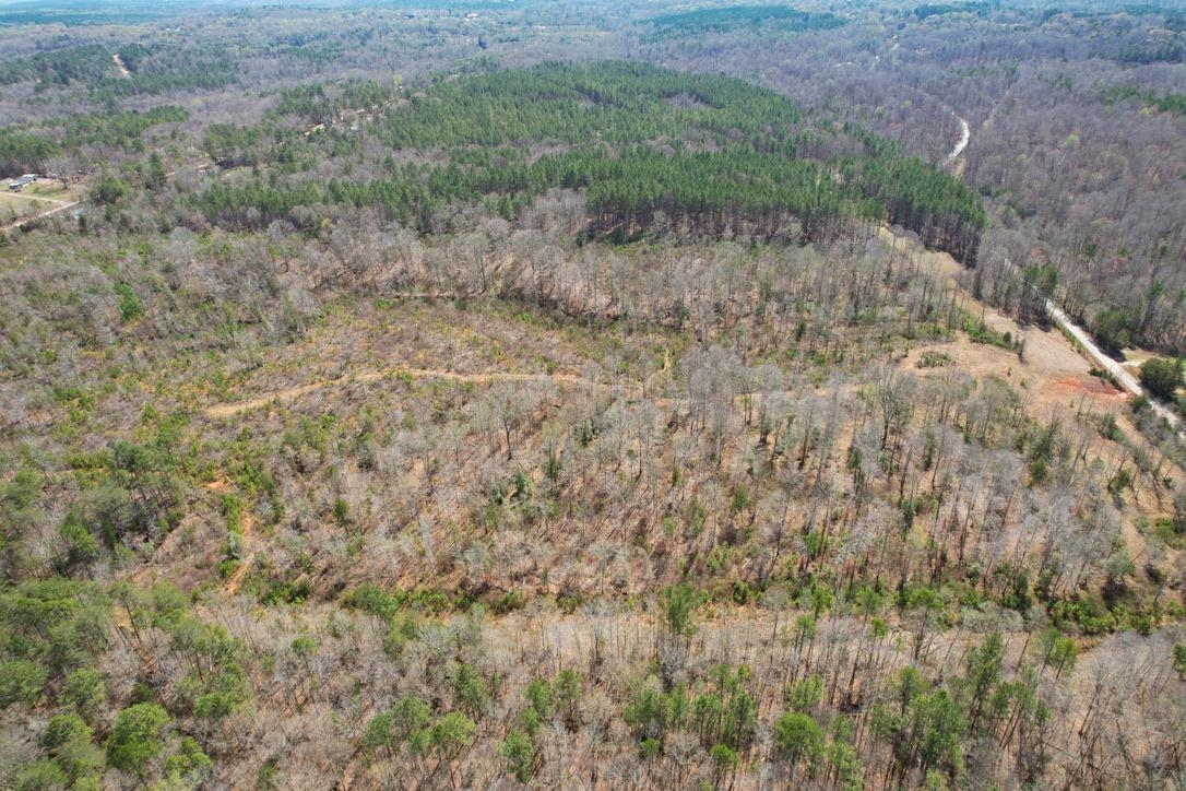 0 Mountain Shoals Road Enoree, SC 29335 - Photo 26 of 43