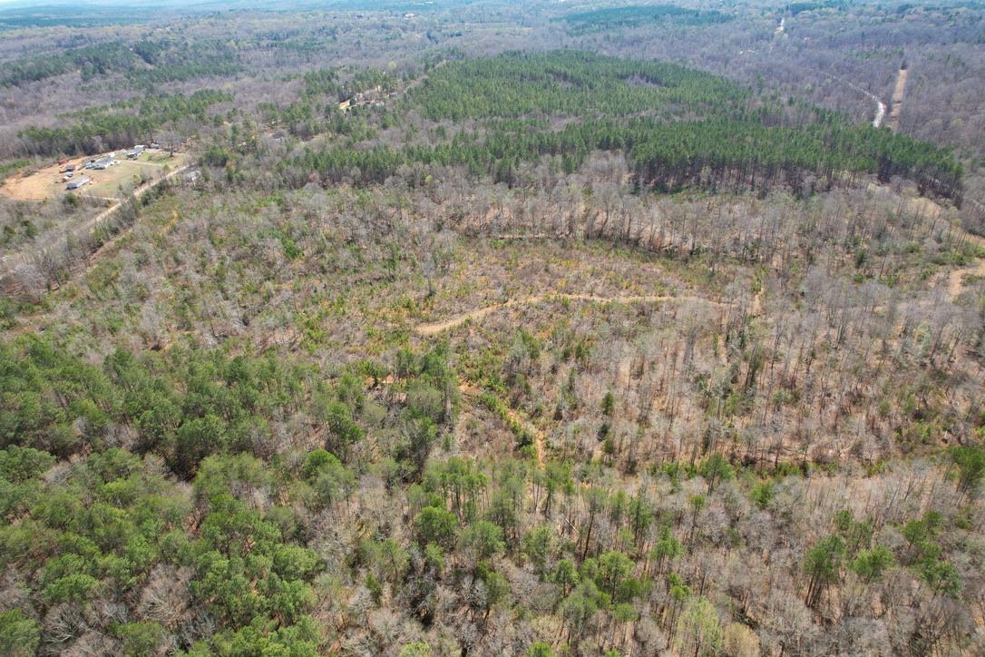 0 Mountain Shoals Road Enoree, SC 29335 - Photo 27 of 43