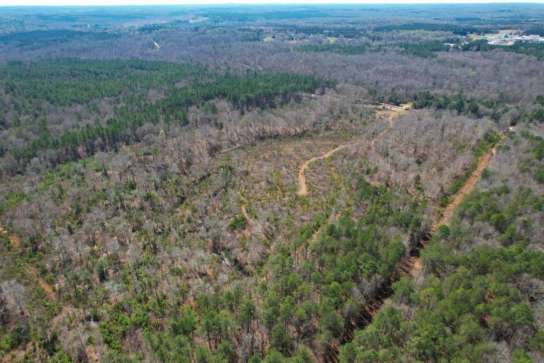 0 Mountain Shoals Road Enoree, SC 29335 - Photo 28 of 43