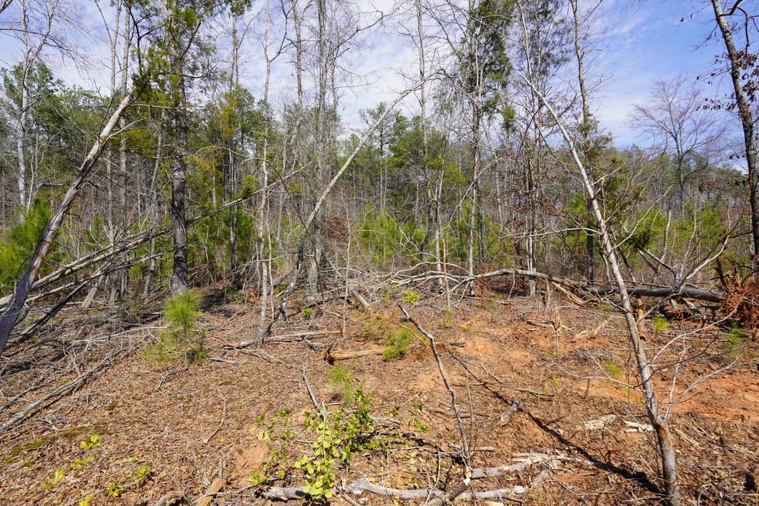 0 Mountain Shoals Road Enoree, SC 29335 - Photo 29 of 43