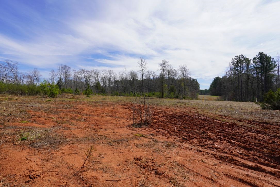 0 Mountain Shoals Road Enoree, SC 29335 - Photo 3 of 43