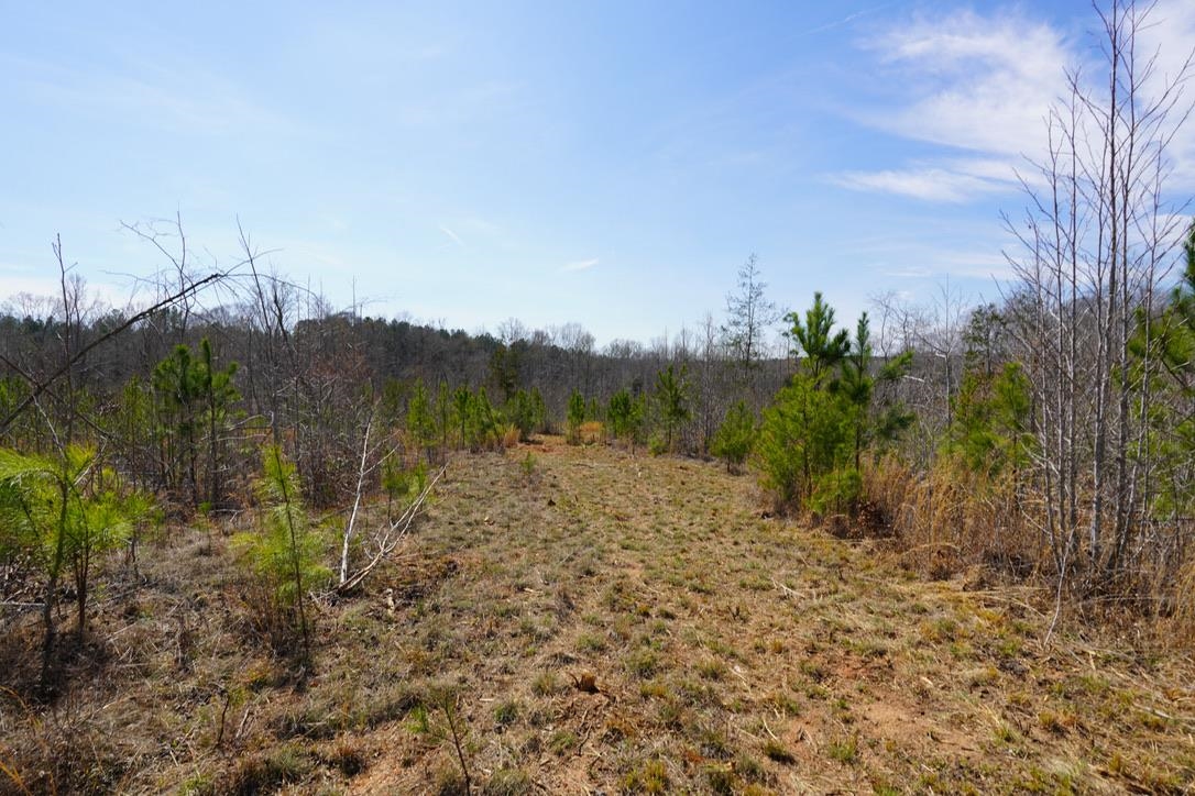 0 Mountain Shoals Road Enoree, SC 29335 - Photo 31 of 43