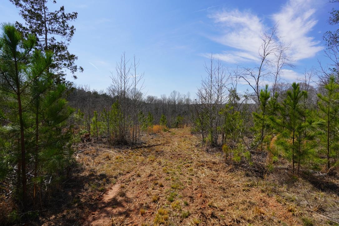 0 Mountain Shoals Road Enoree, SC 29335 - Photo 32 of 43