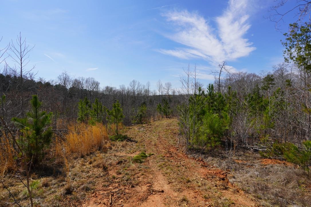0 Mountain Shoals Road Enoree, SC 29335 - Photo 33 of 43