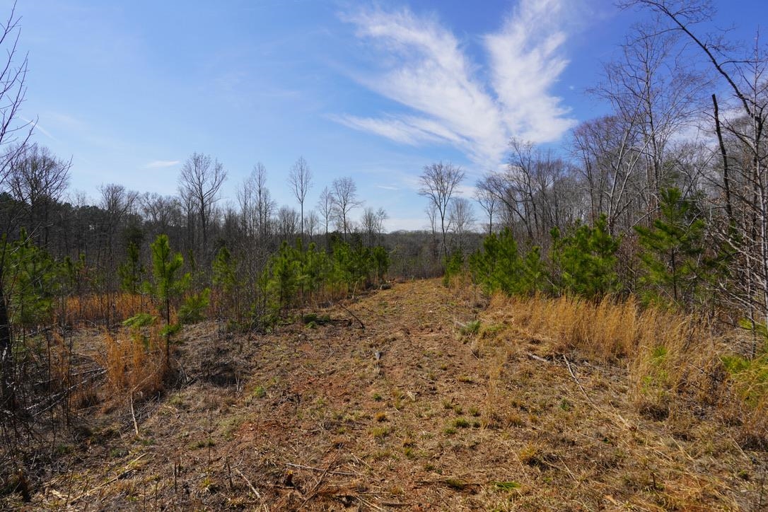 0 Mountain Shoals Road Enoree, SC 29335 - Photo 34 of 43