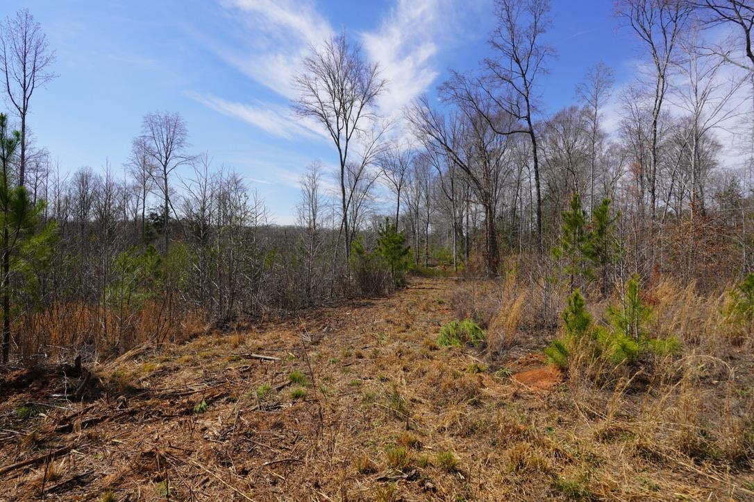 0 Mountain Shoals Road Enoree, SC 29335 - Photo 35 of 43