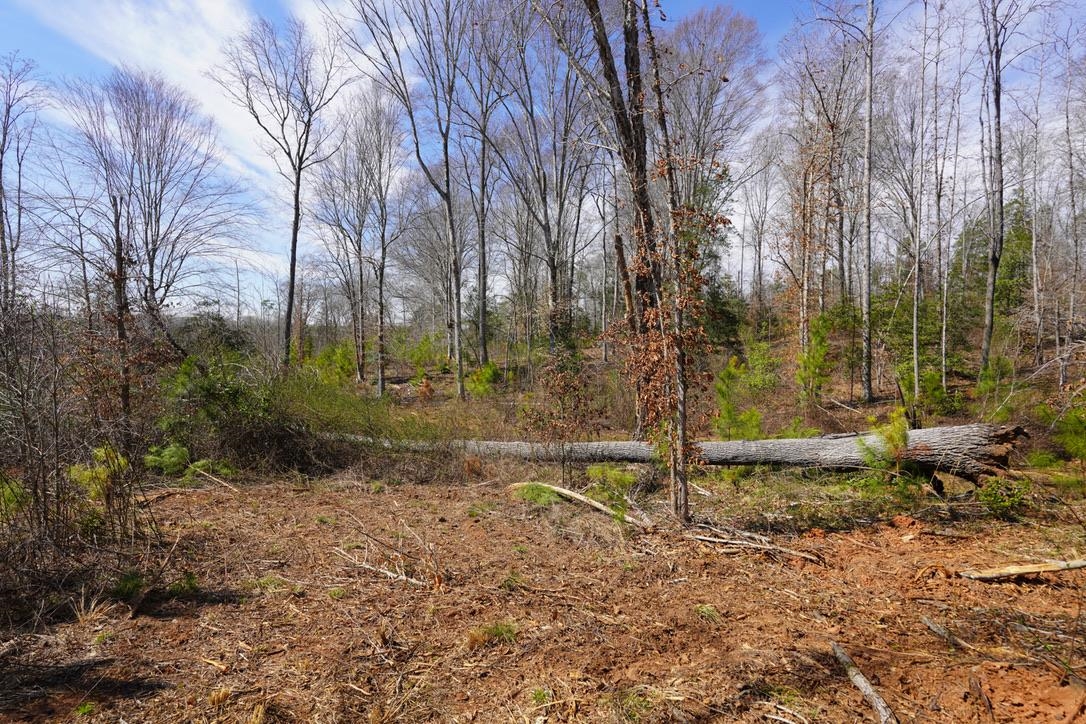0 Mountain Shoals Road Enoree, SC 29335 - Photo 36 of 43