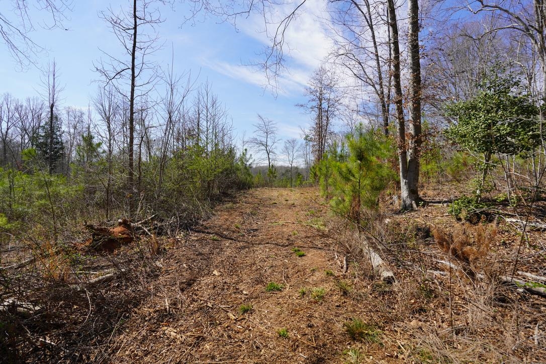0 Mountain Shoals Road Enoree, SC 29335 - Photo 37 of 43