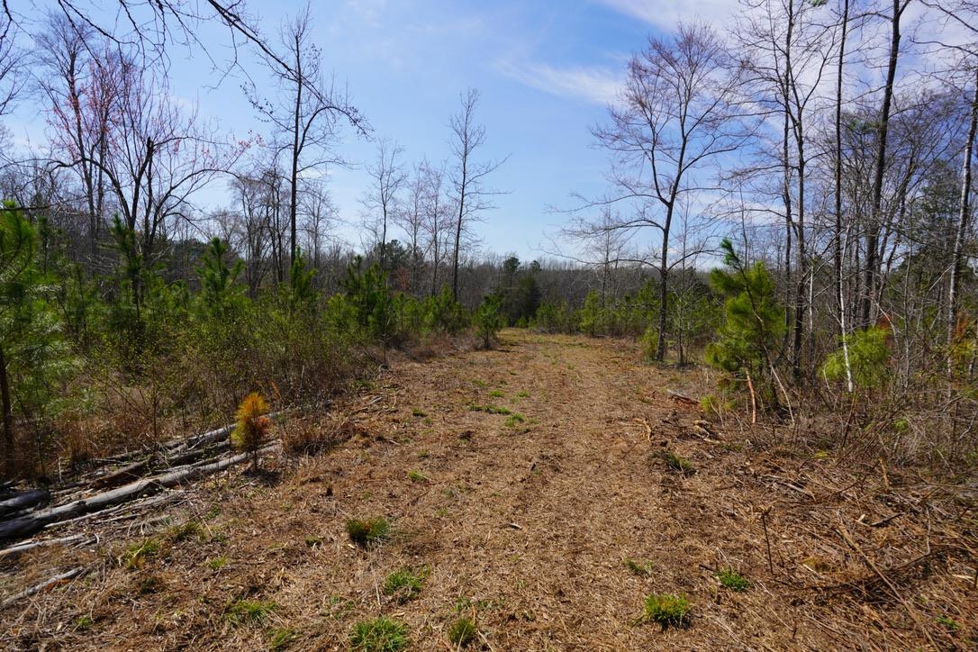 0 Mountain Shoals Road Enoree, SC 29335 - Photo 38 of 43