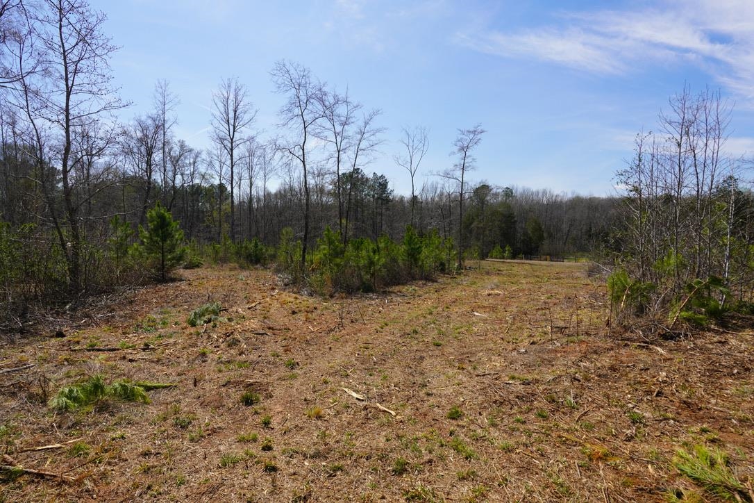0 Mountain Shoals Road Enoree, SC 29335 - Photo 39 of 43