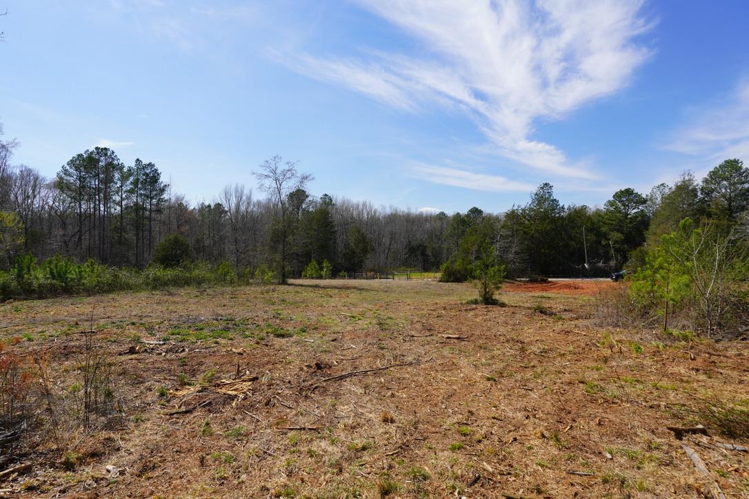 0 Mountain Shoals Road Enoree, SC 29335 - Photo 40 of 43