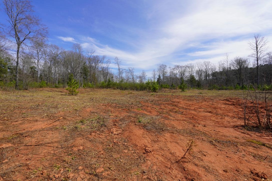 0 Mountain Shoals Road Enoree, SC 29335 - Photo 4 of 43