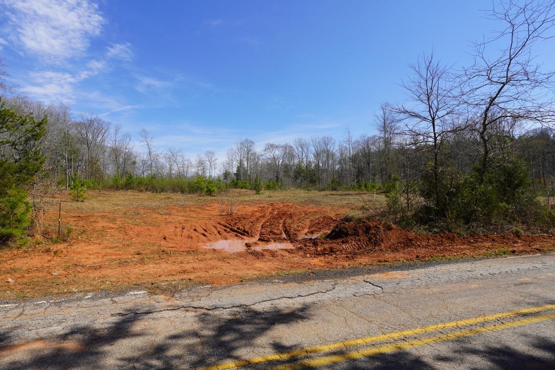 0 Mountain Shoals Road Enoree, SC 29335 - Photo 41 of 43