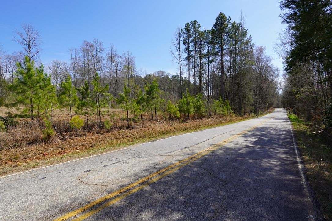 0 Mountain Shoals Road Enoree, SC 29335 - Photo 42 of 43