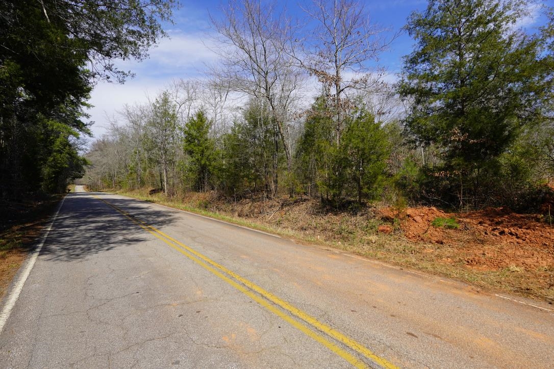 0 Mountain Shoals Road Enoree, SC 29335 - Photo 43 of 43