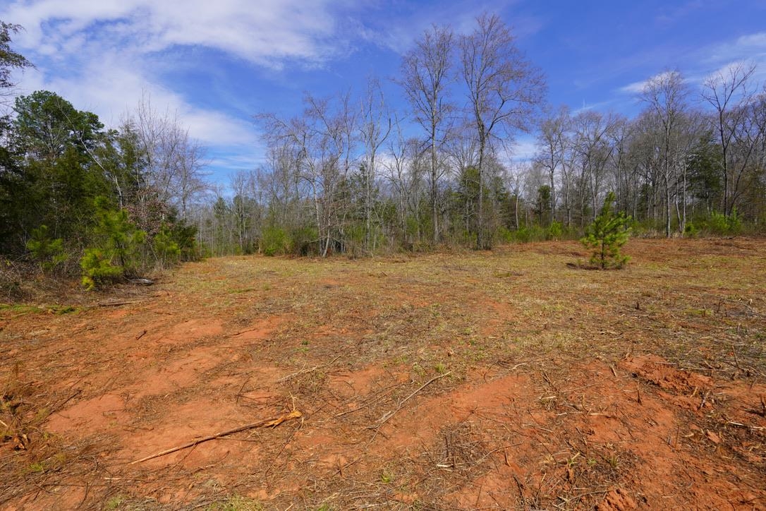 0 Mountain Shoals Road Enoree, SC 29335 - Photo 5 of 43