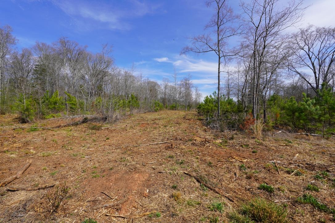 0 Mountain Shoals Road Enoree, SC 29335 - Photo 6 of 43