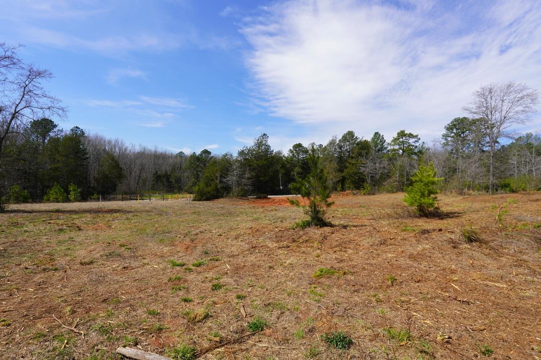 0 Mountain Shoals Road Enoree, SC 29335 - Photo 7 of 43
