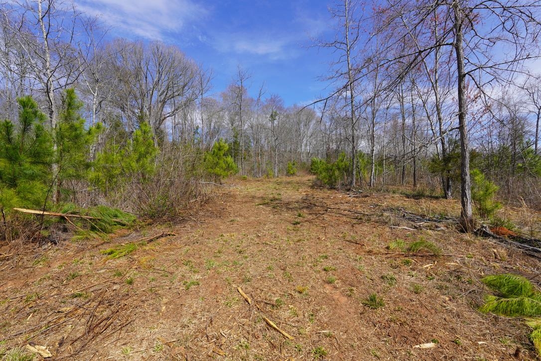 0 Mountain Shoals Road Enoree, SC 29335 - Photo 8 of 43