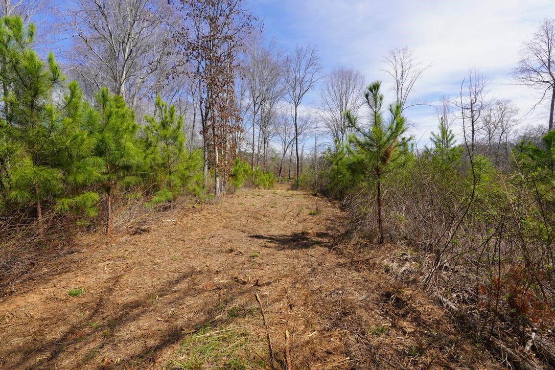 0 Mountain Shoals Road Enoree, SC 29335 - Photo 9 of 43