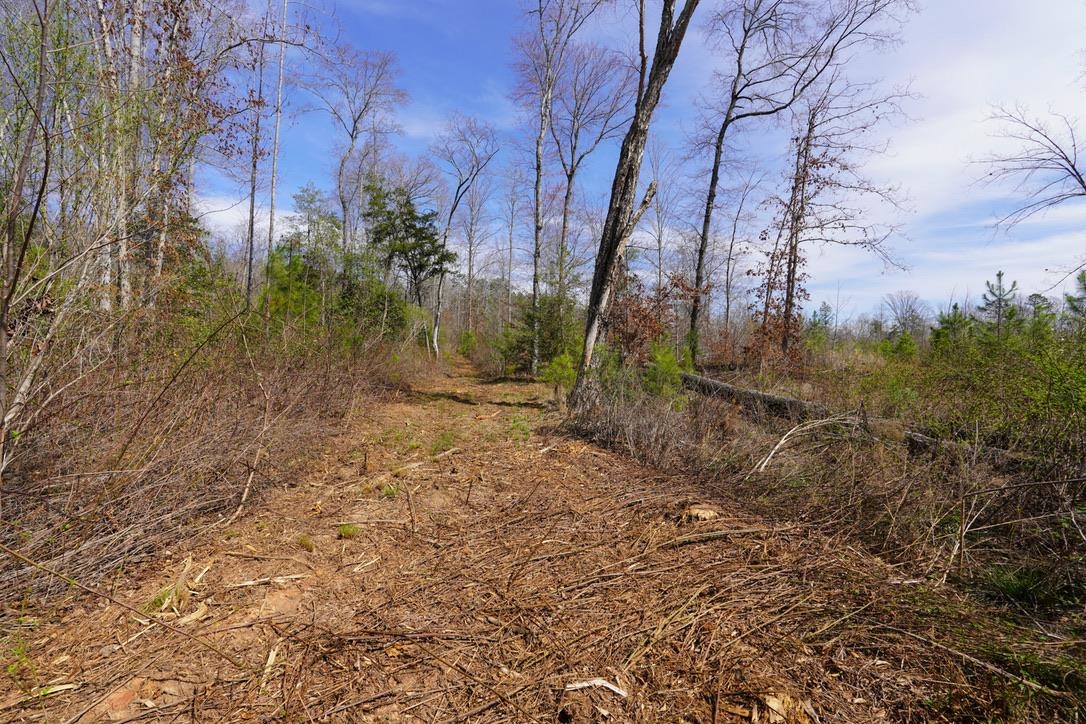0 Mountain Shoals Road Enoree, SC 29335 - Photo 10 of 43