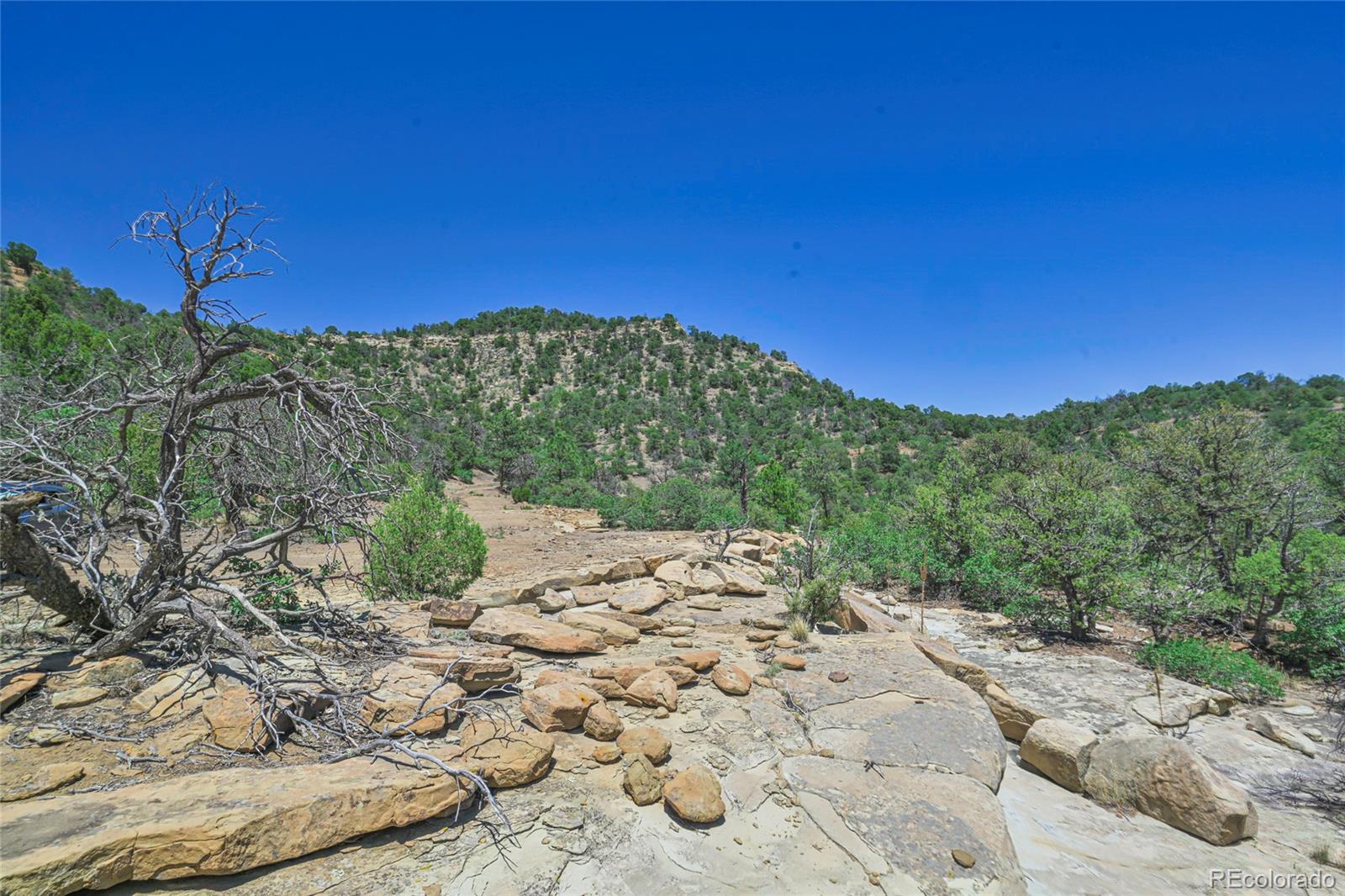 Fishers Peak Ranch Trinidad, CO 81082 - Photo 15 of 32