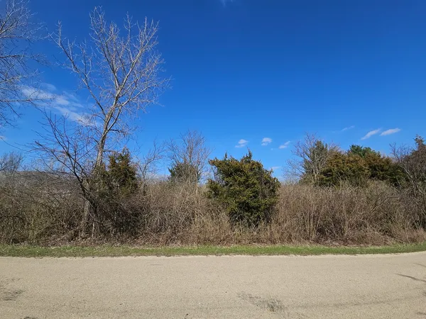 a view of a yard with a tree