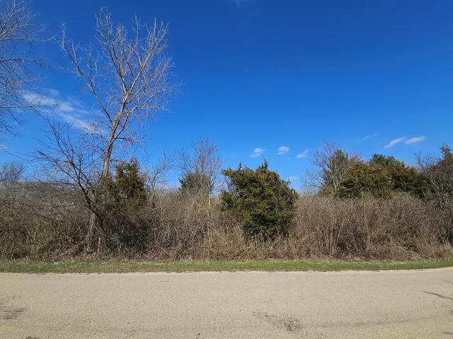a view of a yard with a tree