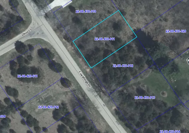 a view of an ocean with large trees