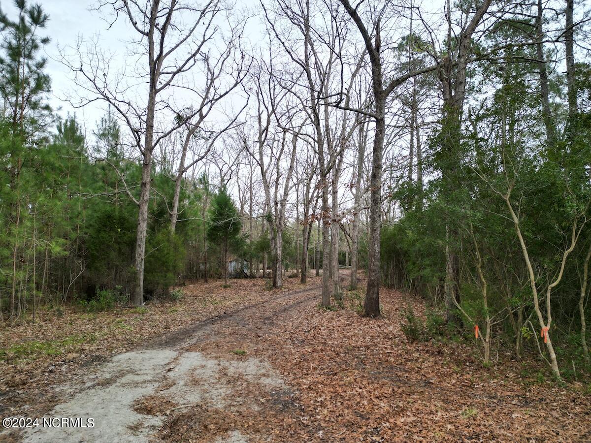 113 Matthews Road Bayboro, NC 28515 - Photo 20 of 25 20