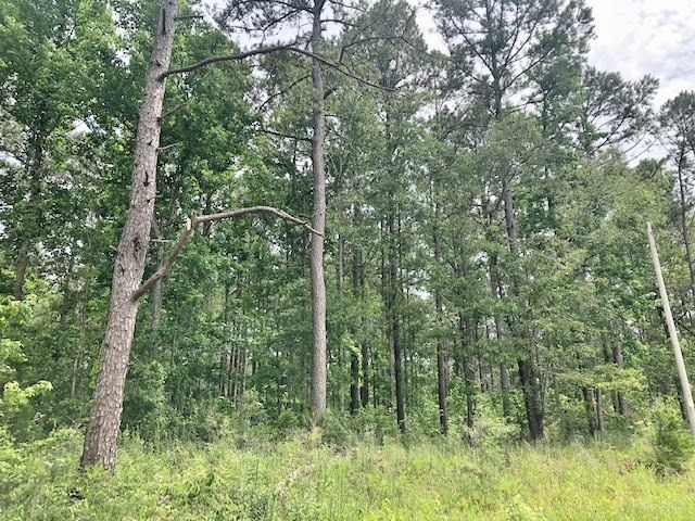 0 Tanglewood Road Magnolia, MS 39652 - Photo 21 of 44 Photo 21