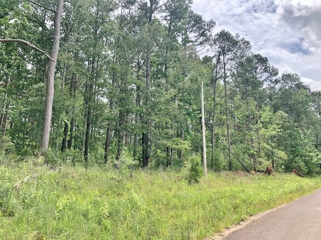 0 Tanglewood Road Magnolia, MS 39652 - Photo 22 of 44 Photo 22