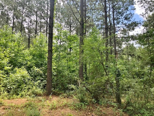 0 Tanglewood Road Magnolia, MS 39652 - Photo 28 of 44 Photo 28
