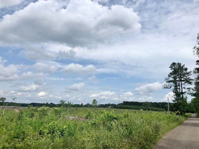 0 Tanglewood Road Magnolia, MS 39652 - Photo 29 of 44 Photo 29