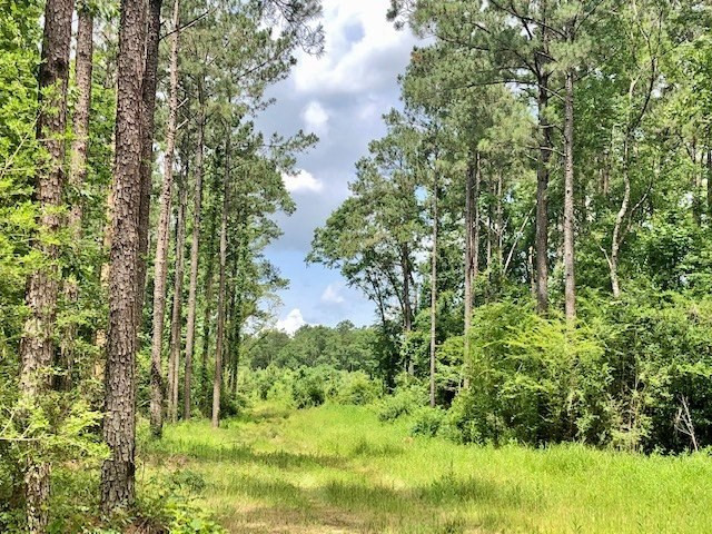 0 Tanglewood Road Magnolia, MS 39652 - Photo 3 of 44 Photo 3