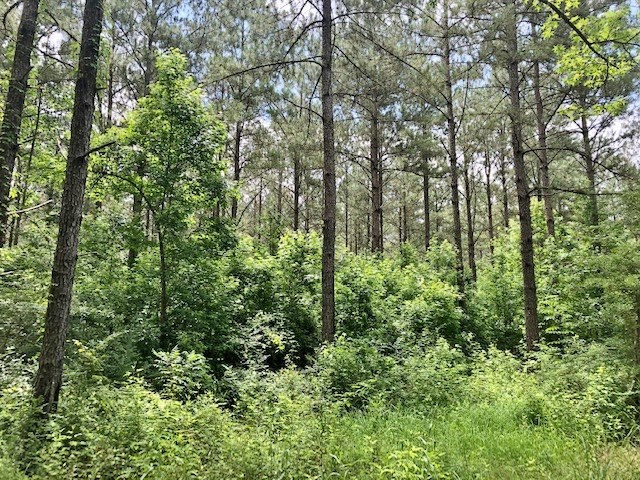 0 Tanglewood Road Magnolia, MS 39652 - Photo 31 of 44 Photo 31