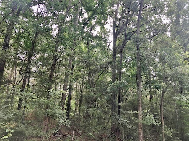 0 Tanglewood Road Magnolia, MS 39652 - Photo 32 of 44 Photo 32