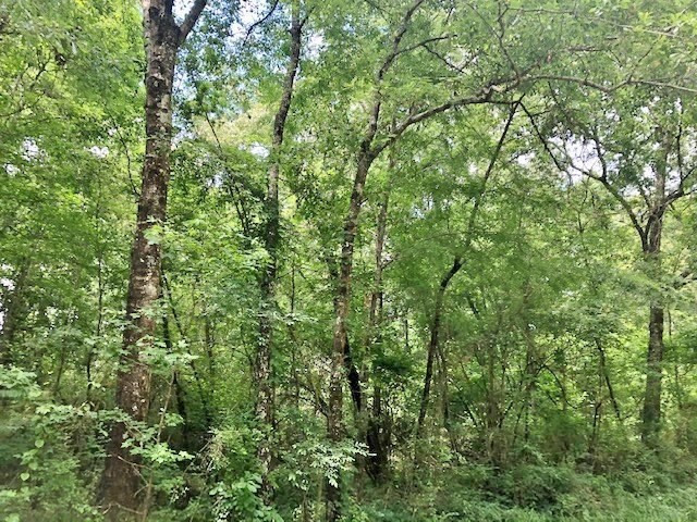 0 Tanglewood Road Magnolia, MS 39652 - Photo 33 of 44 Photo 33