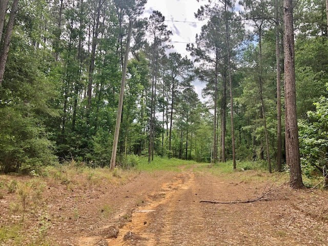 0 Tanglewood Road Magnolia, MS 39652 - Photo 9 of 44 Photo 9