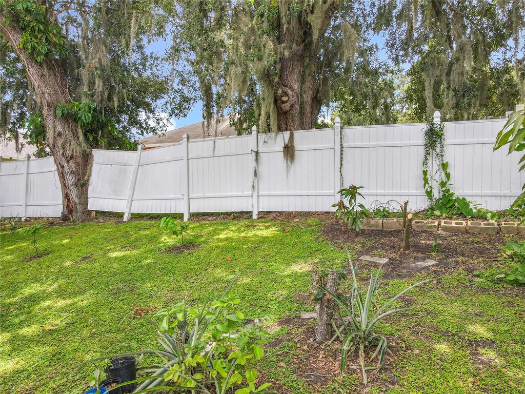 7939 Riffle Lane Orlando, FL 32818 - Photo 41 of 52 a view of a backyard