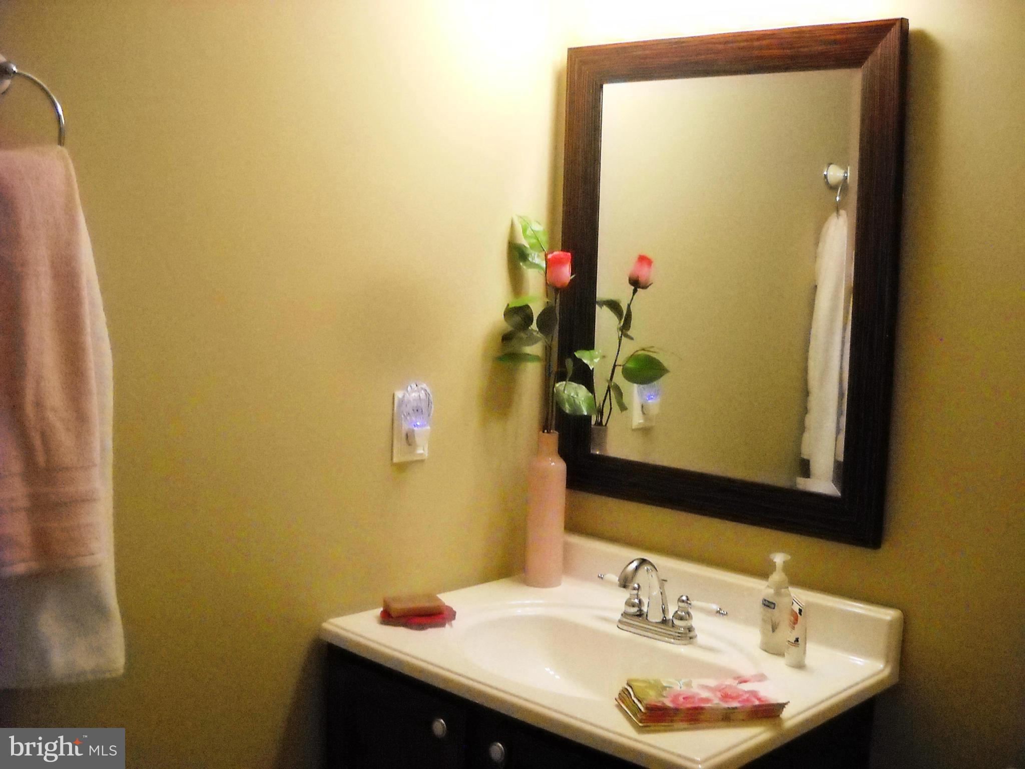 19266 Stallion Road Culpeper, VA 22701 - Photo 14 of 27 Half Bath