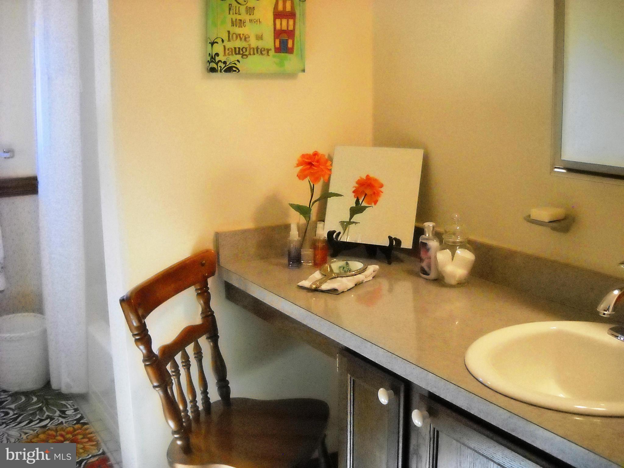 19266 Stallion Road Culpeper, VA 22701 - Photo 20 of 27 Bath (Master)