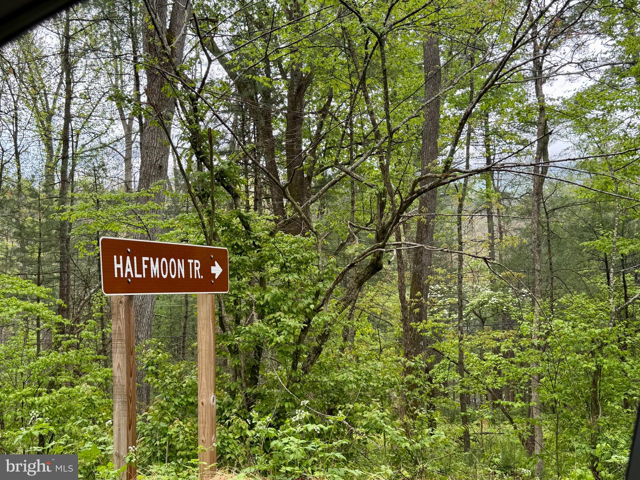 1-2 Trout Run Road Wardensville, WV 26851 - Photo 10 of 13